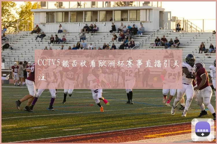 CCTV5能否收看欧洲杯赛事直播引关注