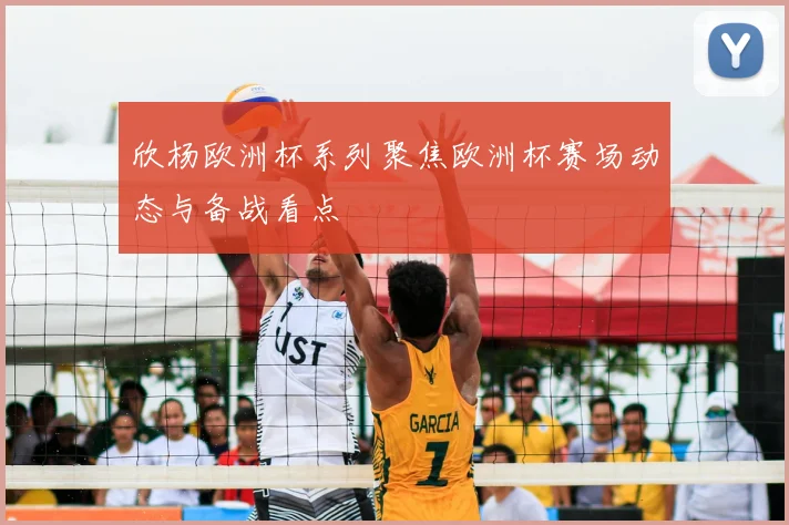 欣杨欧洲杯系列聚焦欧洲杯赛场动态与备战看点