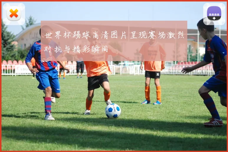世界杯踢球高清图片呈现赛场激烈对抗与精彩瞬间