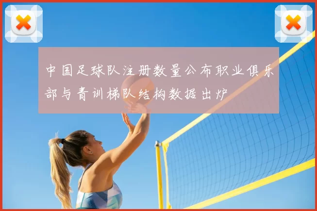 中国足球队注册数量公布职业俱乐部与青训梯队结构数据出炉